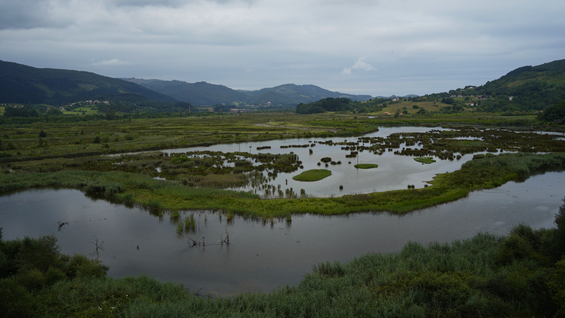 Urdaibai y su marisma