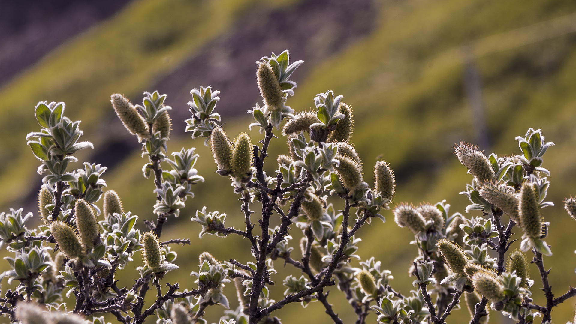 Isabel Garcia Dominguez - Urria 1-3